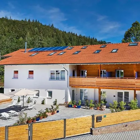 Arber Lofts In Apartment Bayerisch Eisenstein